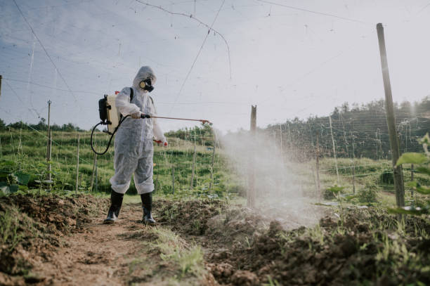 Best Best Pest Control Companies  in Port Ewen, NY