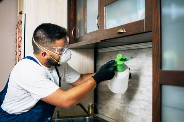 Best Residential Pest Control  in Port Ewen, NY