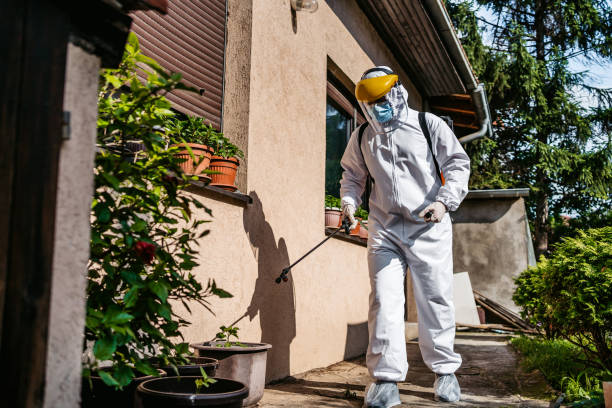 Pest Control Cost in Port Ewen, NY