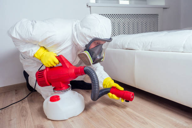 Best Local Pest Control Services  in Port Ewen, NY