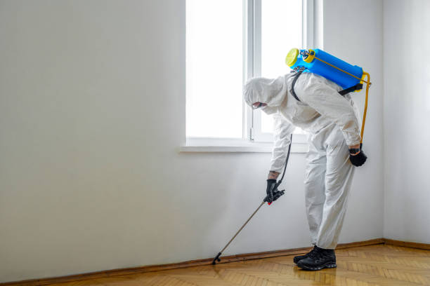 Best Pest Control Treatment  in Port Ewen, NY