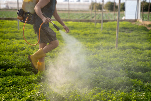 Best Wasp Removal Services  in Port Ewen, NY