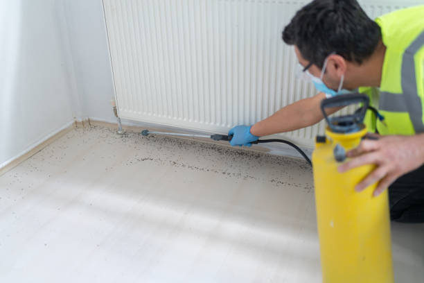 Best Pest Control for Homes  in Port Ewen, NY