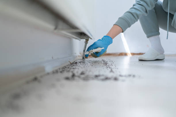 Best Commercial Pest Control Services  in Port Ewen, NY